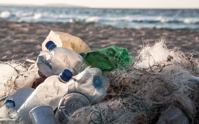 L Impatto Della Plastica Sul Mar Mediterraneo HUB Campus