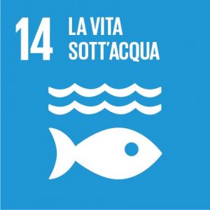 Agenda 30 Obiettivo N 14 Conservare E Utilizzare In Modo Durevole Gli Oceani I Mari E Le Risorse Marine Hub Campus